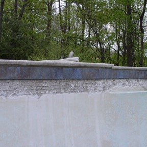 DSC00992